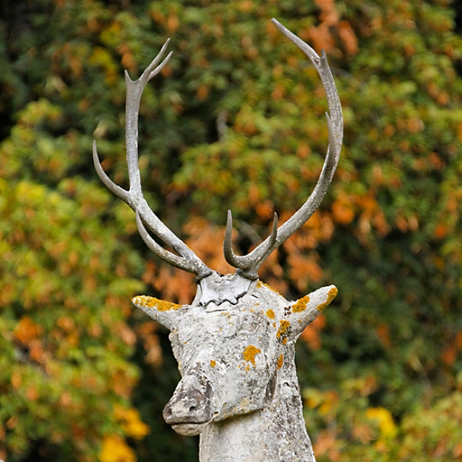 Chateau de Raray-031